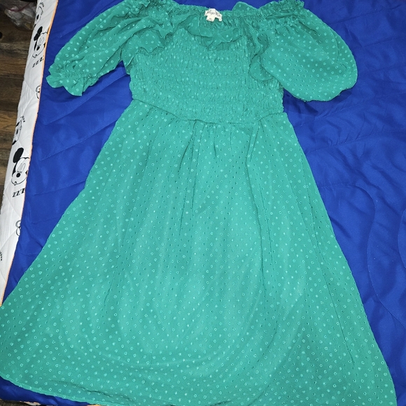 Charming Green Dress - Picture 1 of 3